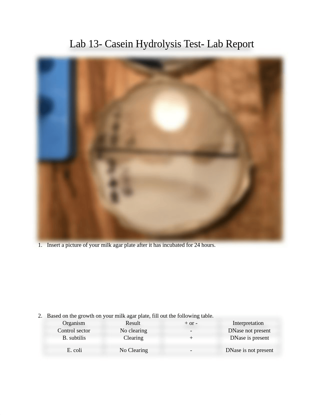 Celaya -Lab 13.docx_dw5xe84kacv_page1