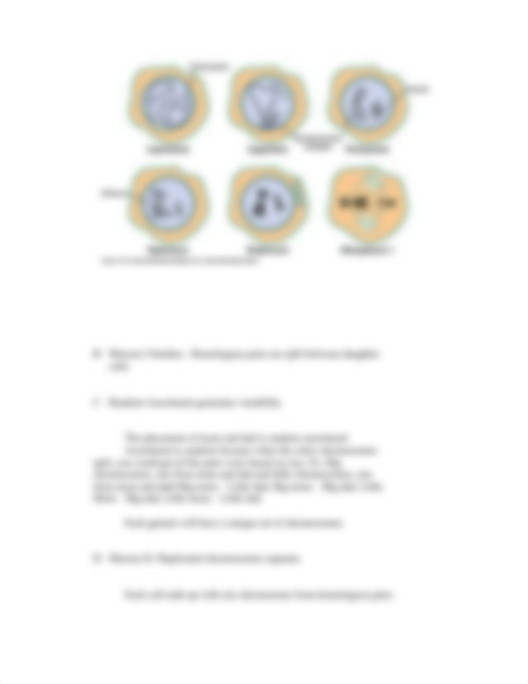 Cell Biology - Test 4 - Cell Division-Meiosis.docx_dw621kex59m_page3