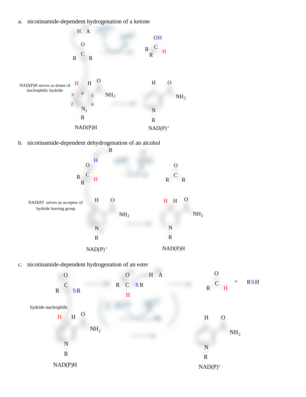 FinalExam_Review part 2 (coenzyme reactions)_KEY(2).pdf_dw62fkcsdo7_page5