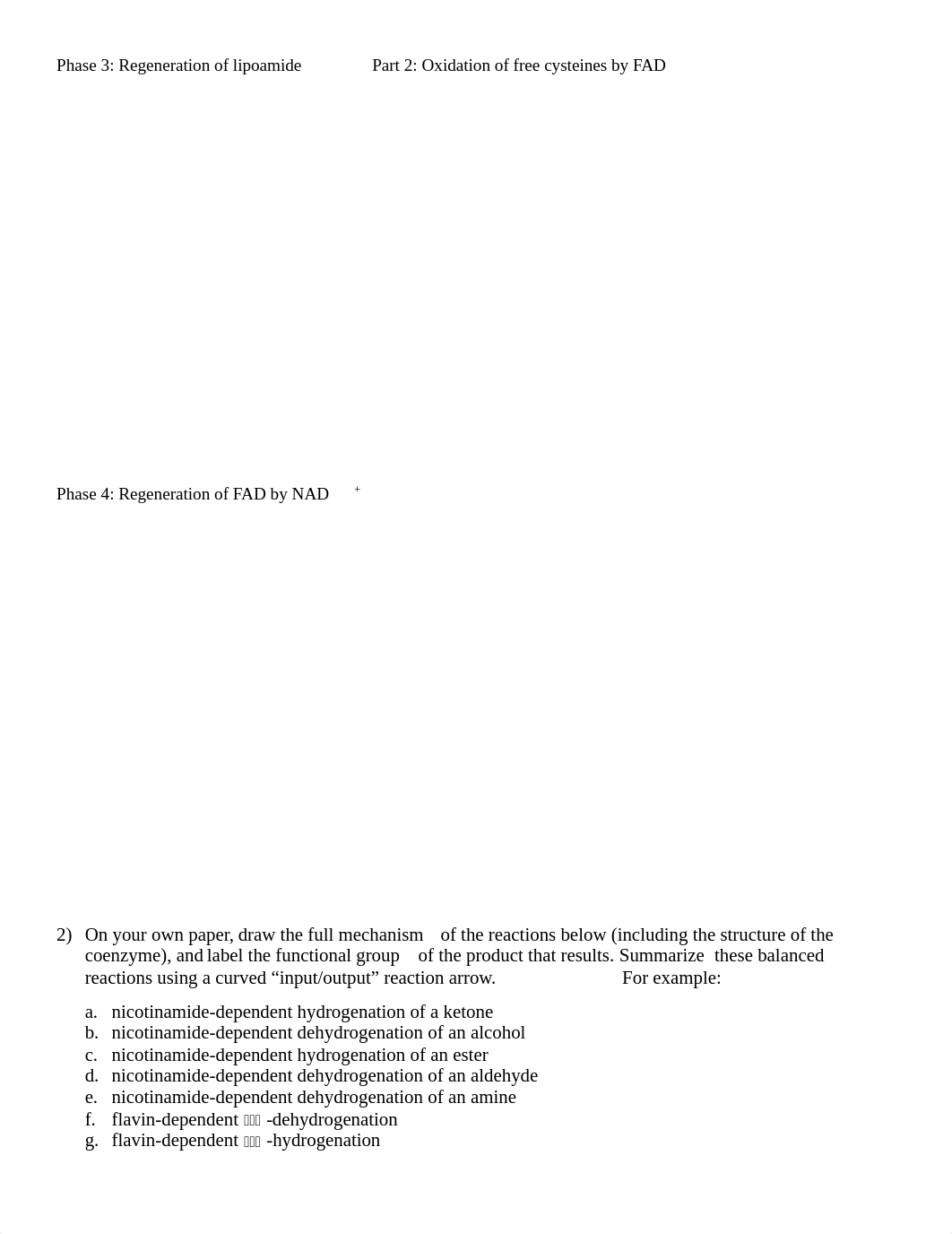 FinalExam_Review part 2 (coenzyme reactions)_KEY(2).pdf_dw62fkcsdo7_page4