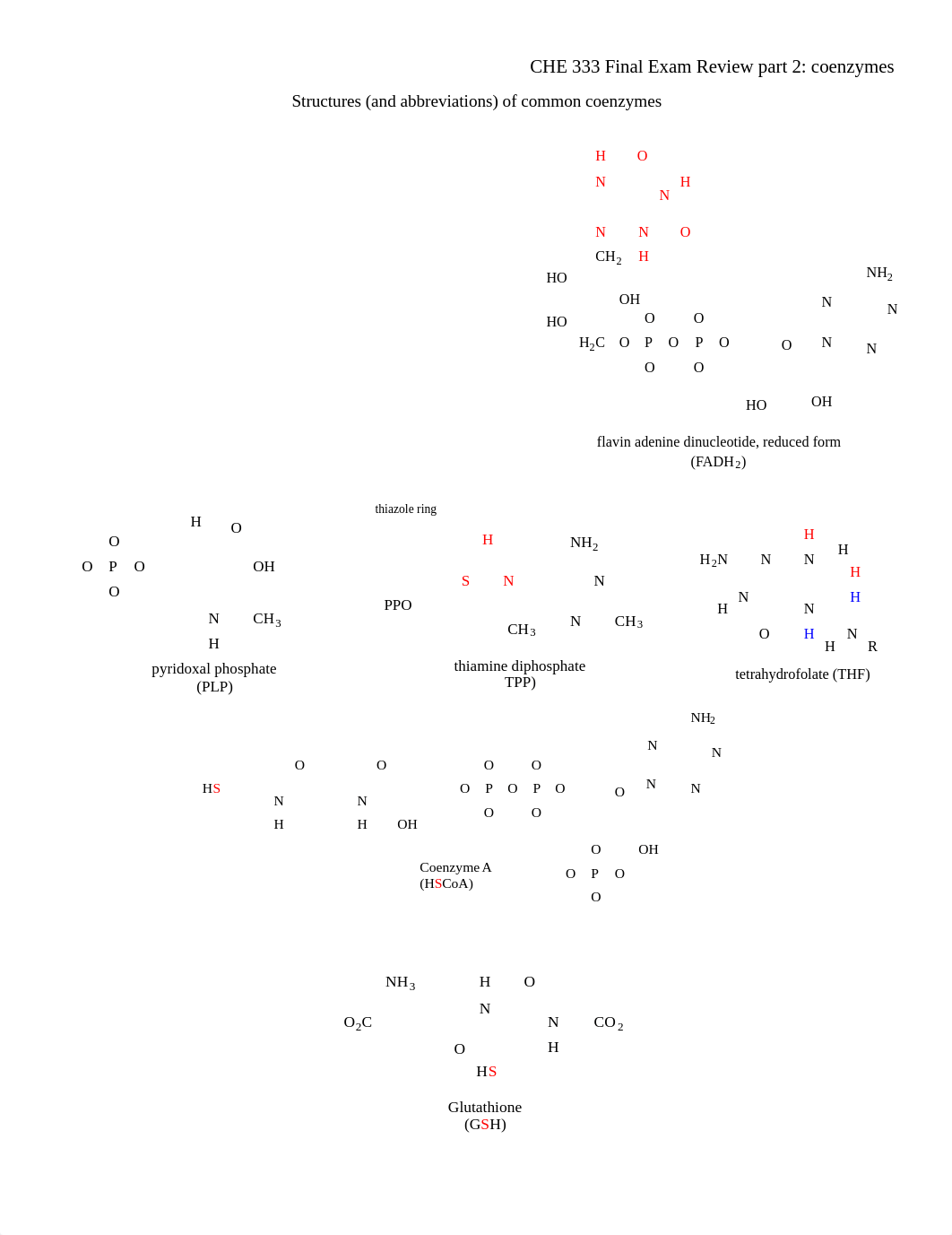 FinalExam_Review part 2 (coenzyme reactions)_KEY(2).pdf_dw62fkcsdo7_page1