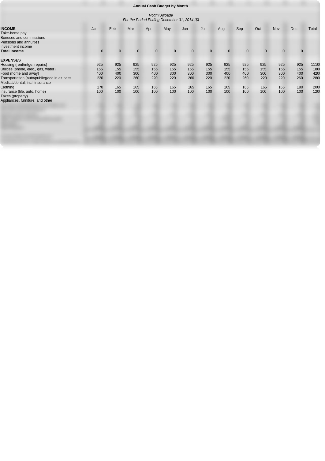 FIN580 Course Project - Cash_Budget_dw64kde5vrq_page1