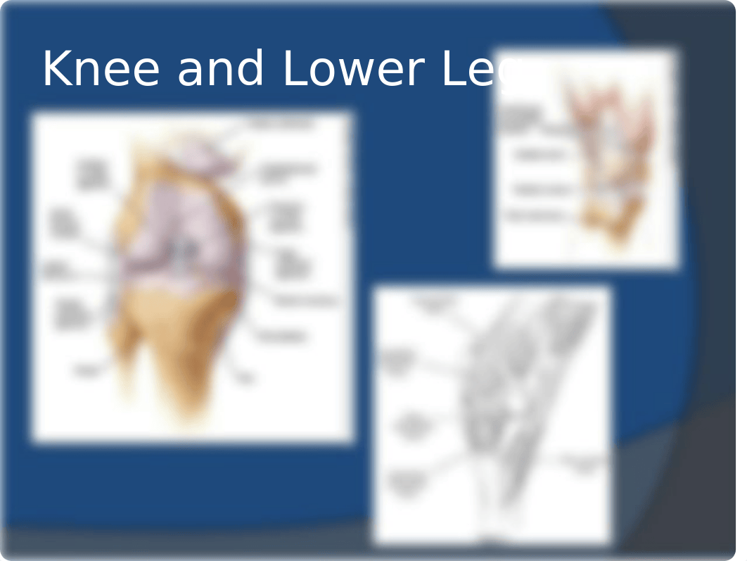 Advanced Musculoskeletal Assessment.pptx_dw69dhved30_page3