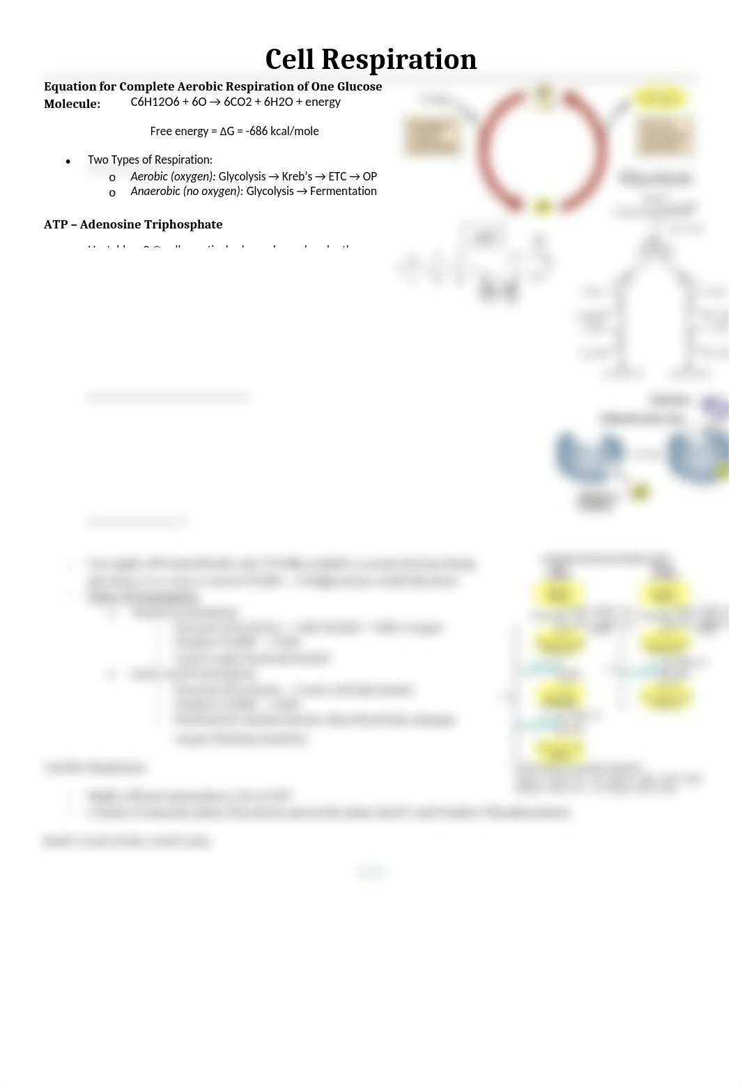 Cell Respiration_dw6a99kgclw_page1