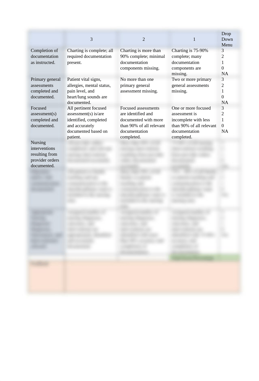 docucare_master_rubric_(002).docx_dw6cks7nu2g_page1