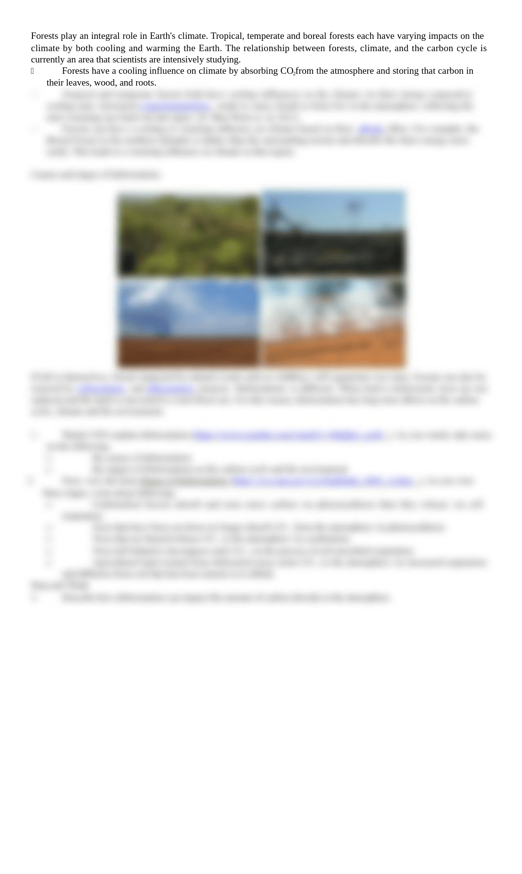 01 Deforestation and the Carbon Cycle-1.docx_dw6ki75ooeg_page3