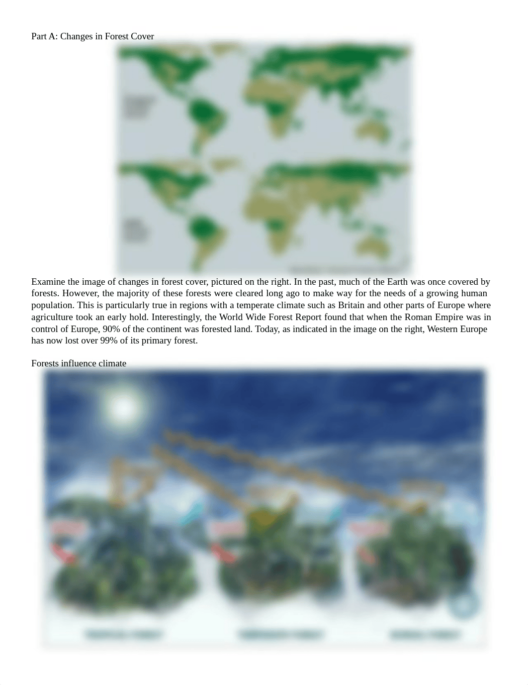 01 Deforestation and the Carbon Cycle-1.docx_dw6ki75ooeg_page2