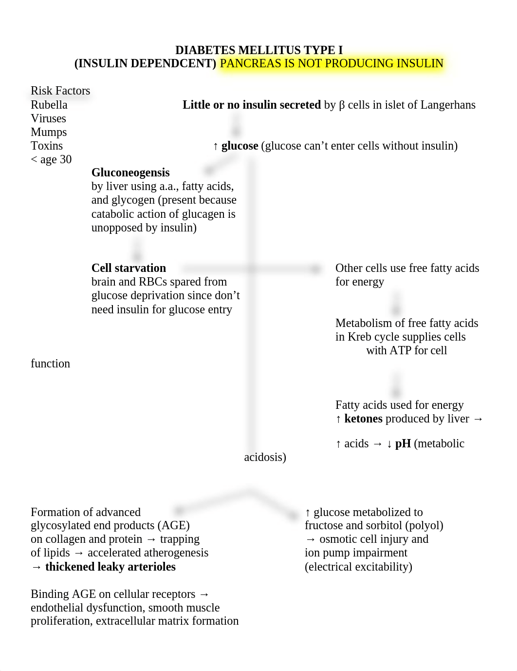 Diabetes Concept Map-1.doc_dw6ugl0z4n9_page1