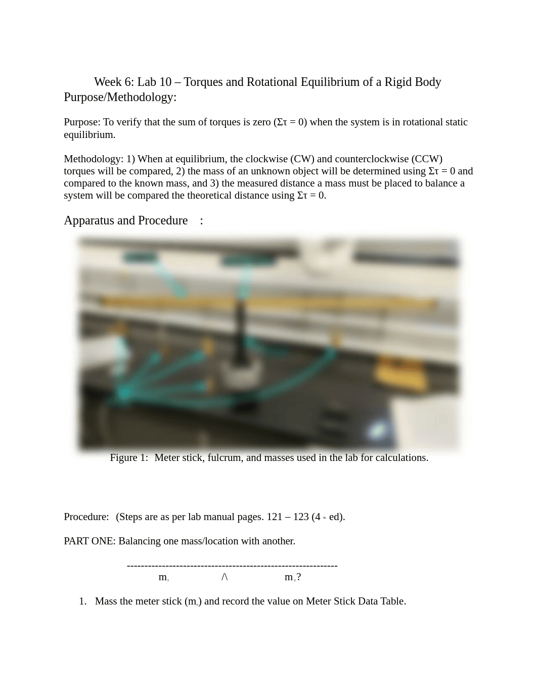 Physics Torque Lab.docx_dw7ah2vbx86_page1