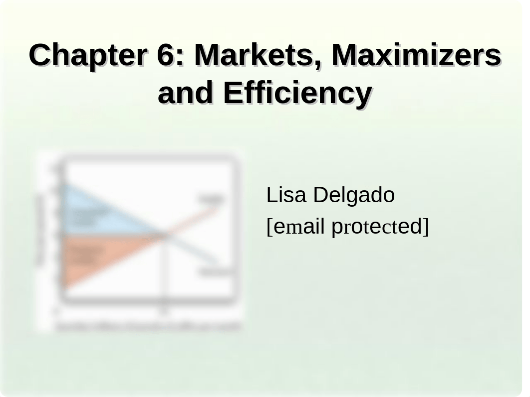 Ch6 Markets & Efficiency.ppt_dw7dmsbpnp5_page1