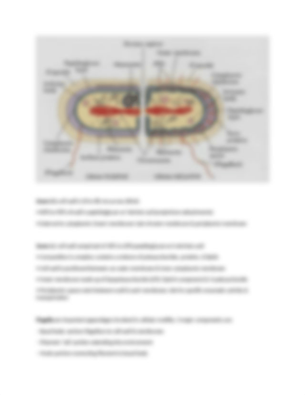 Lec exam 1 review.docx_dw7j80xbxwu_page3