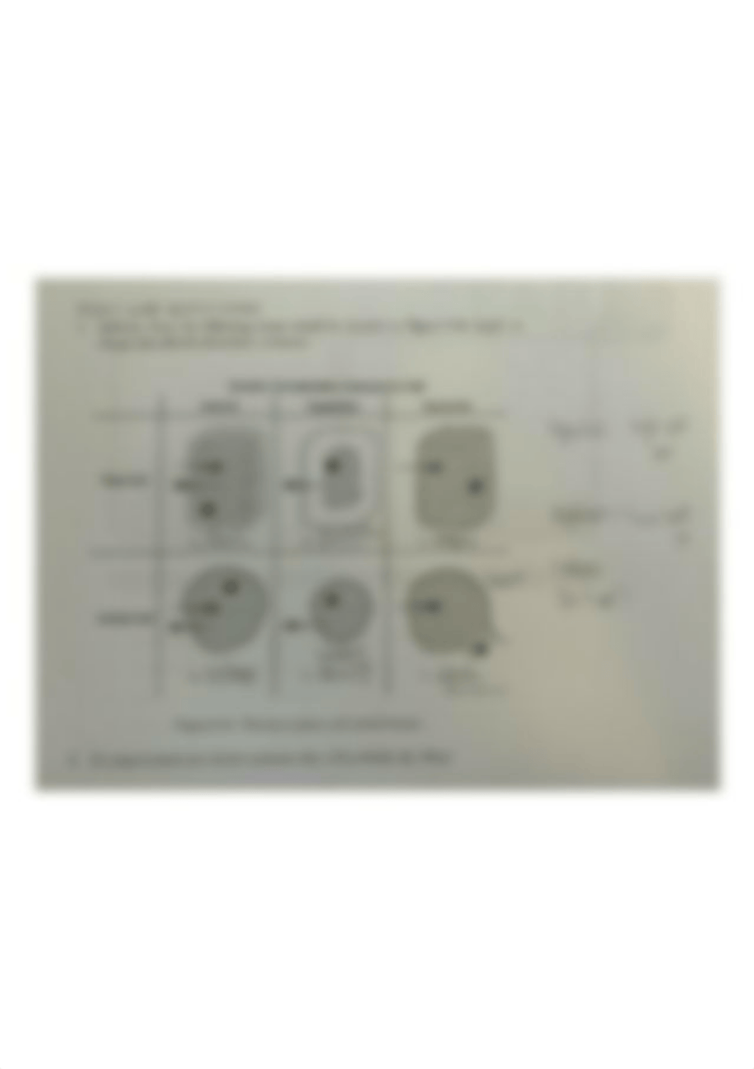 Lab 5 Figure 5-4.jpg_dw7kf1raj1t_page1