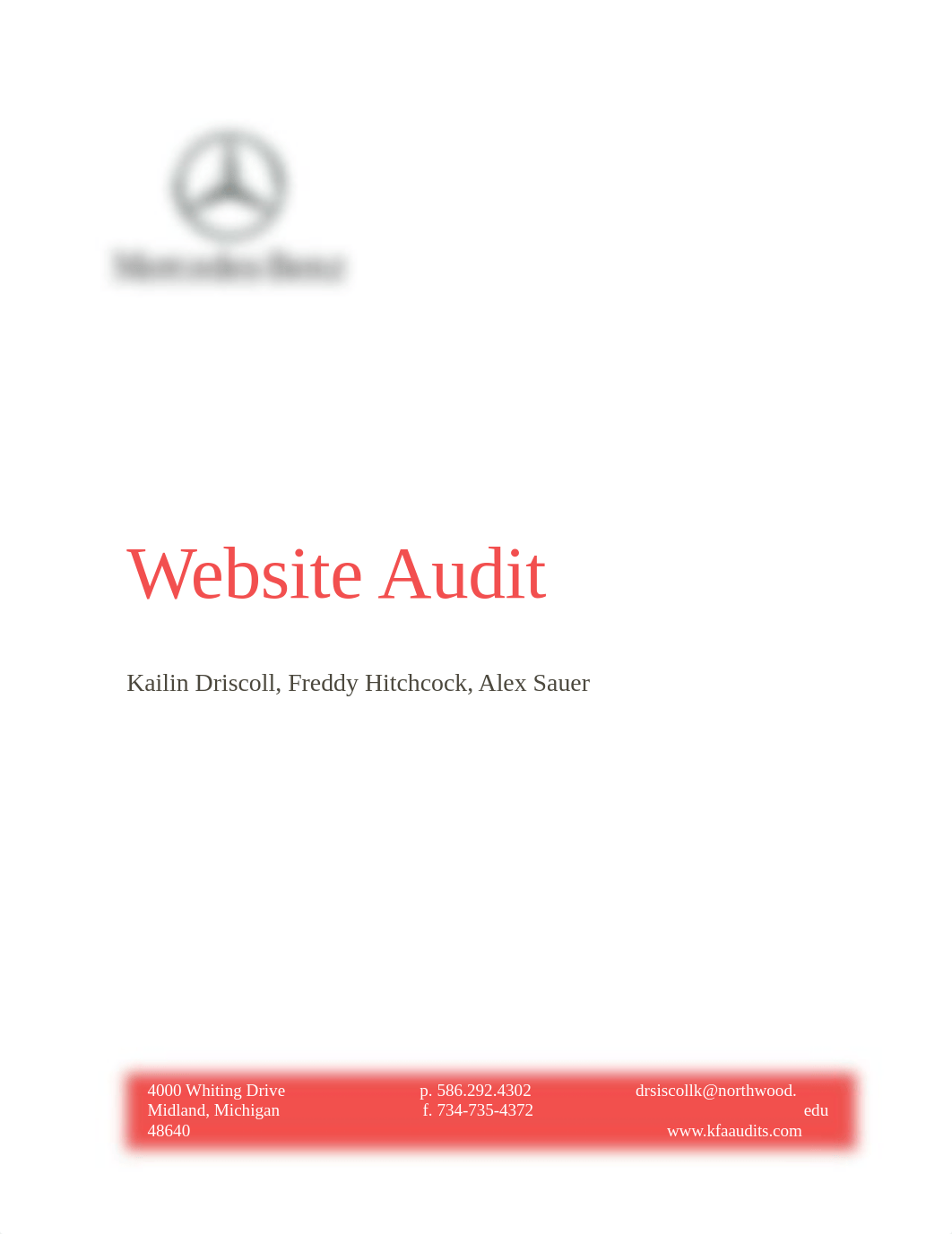 Website Audit_dw7q14arrfq_page1