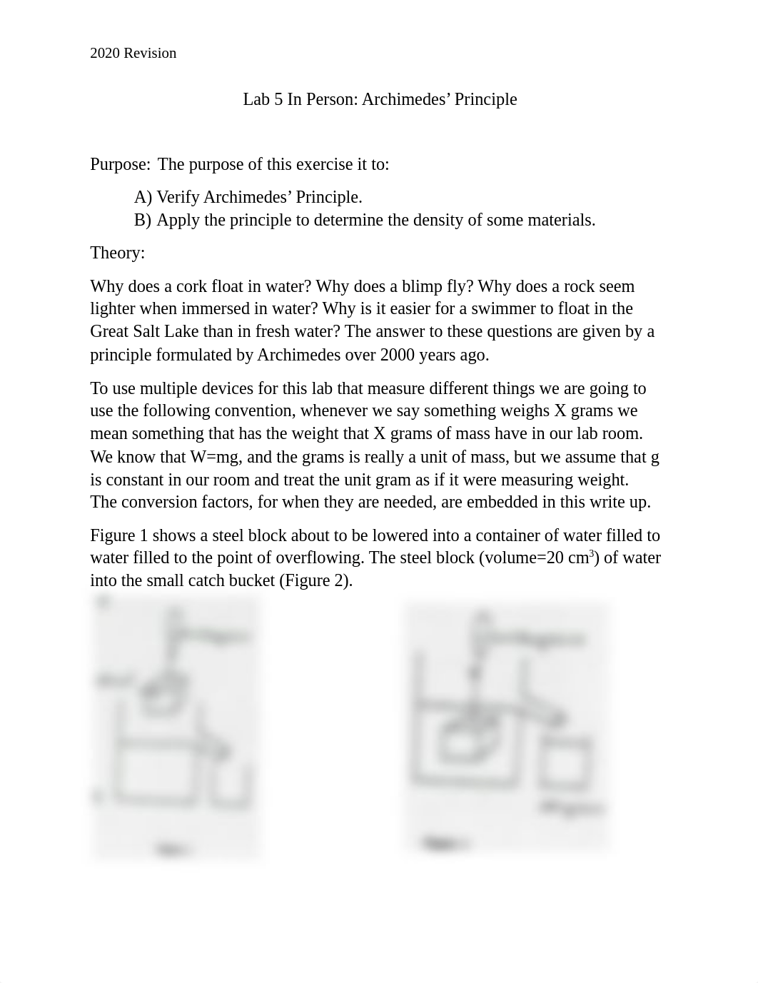 Lab 5 In Person Archimedes Principle.docx_dw7vyqzgngs_page1