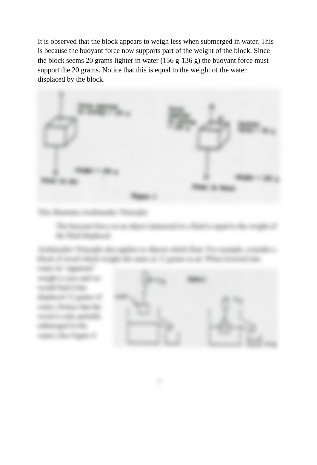 Lab 5 In Person Archimedes Principle.docx_dw7vyqzgngs_page2