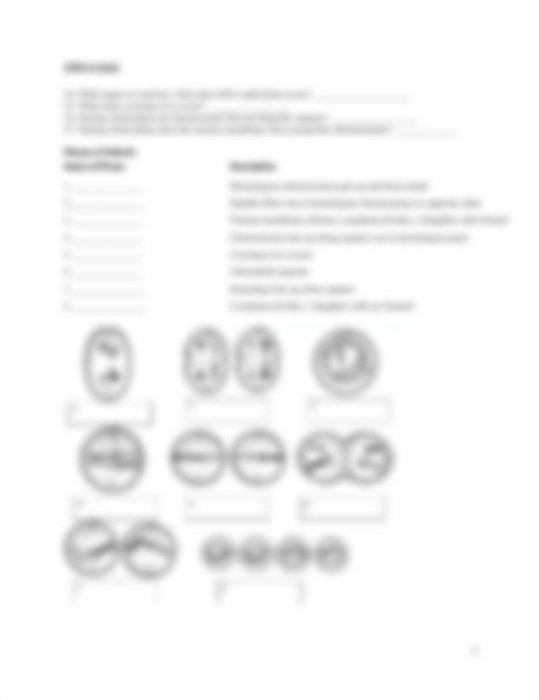 bio 160 lab L meiosis_dw7wc1ha80x_page2