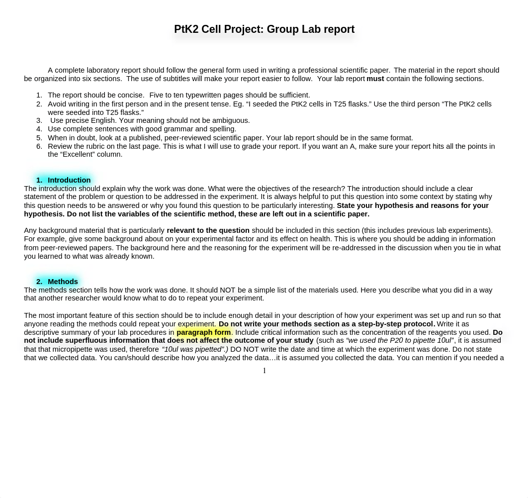 PtK2 Project Lab Report Guide and Rubric.doc_dw80pbc4lx2_page1