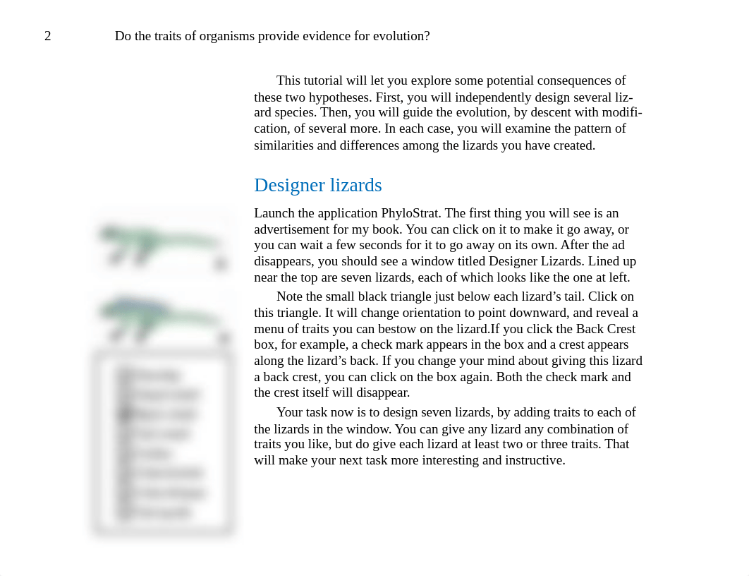 phylo_strat_designerlizards_tutorial.pdf_dw8262b0lh8_page2