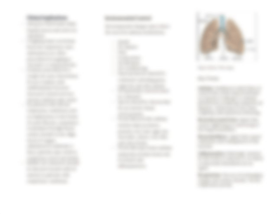 Drugs that affect the respiratory system brochure Revised.docx_dw82xiozd3b_page2