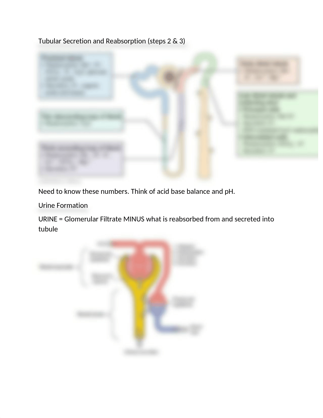 Patho Test Three Spring 2020.docx_dw83pctm162_page2