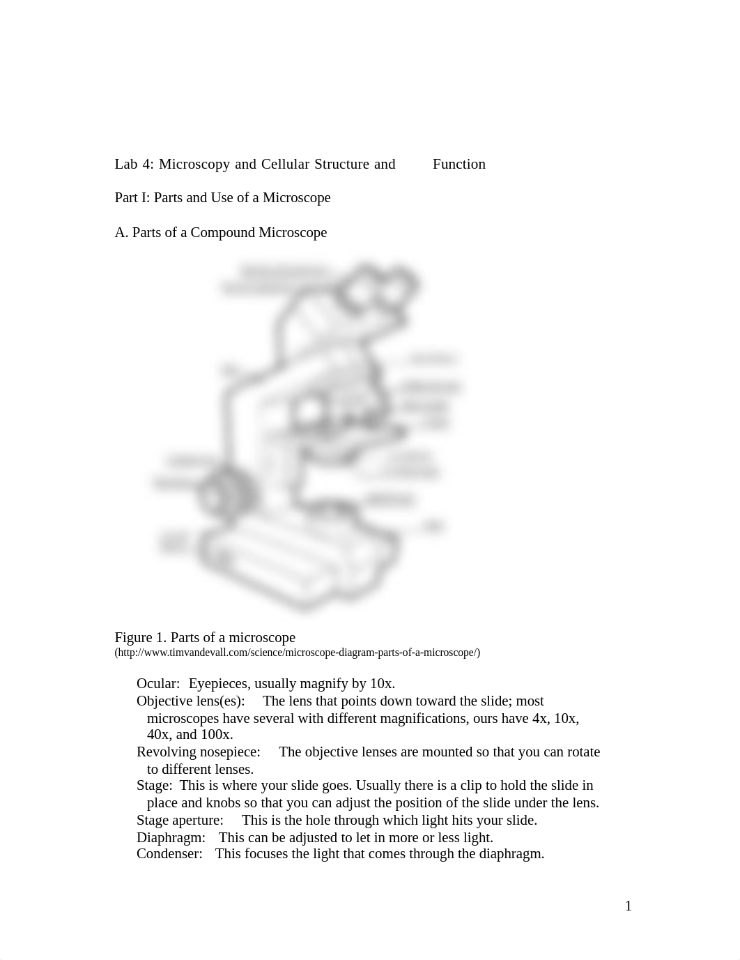 Lab 4.docx_dw8d0nkldj6_page1