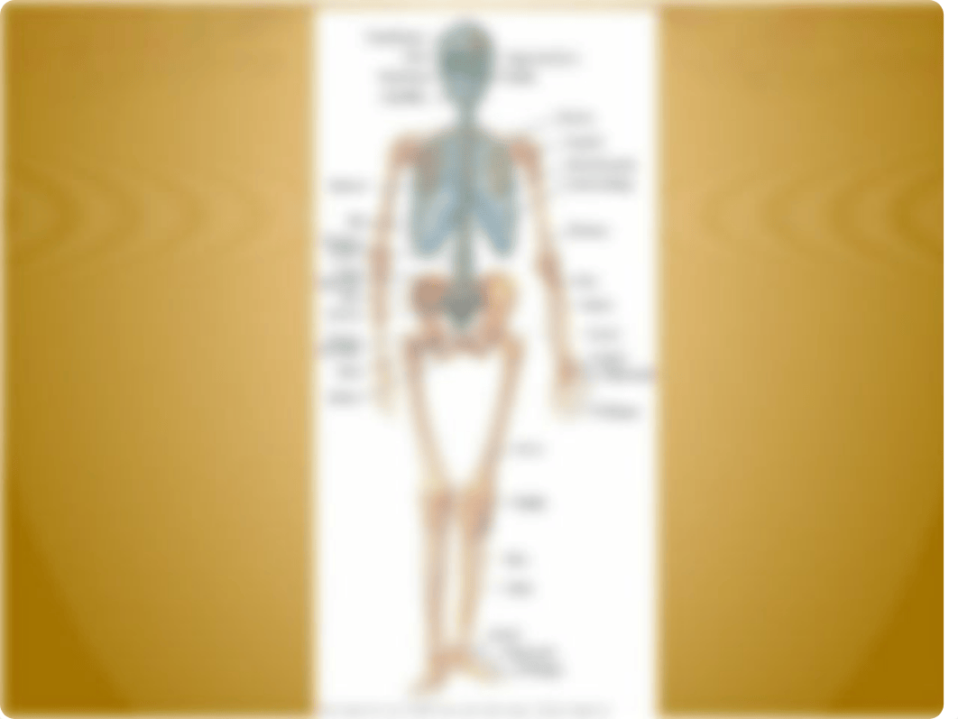 Musculoskeletal part 1.pptx_dw8dx6w15se_page4