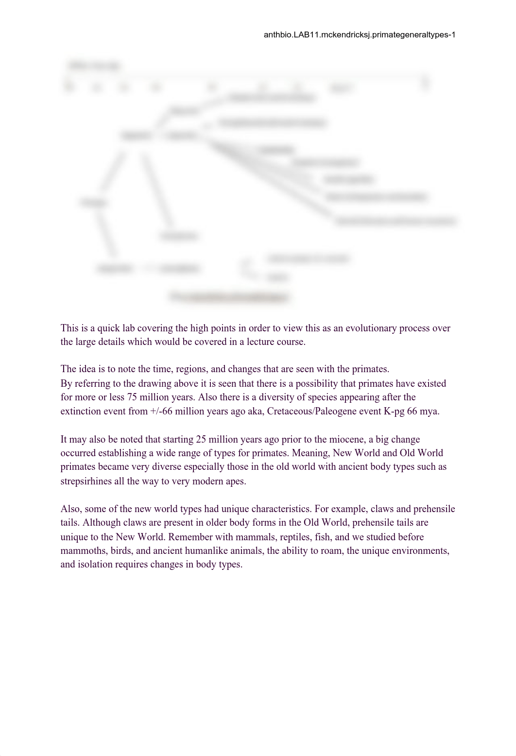 anthbio.LAB11.mckendricksj.primategeneraltypes Thompson B.pdf_dw8jf6dhk17_page1