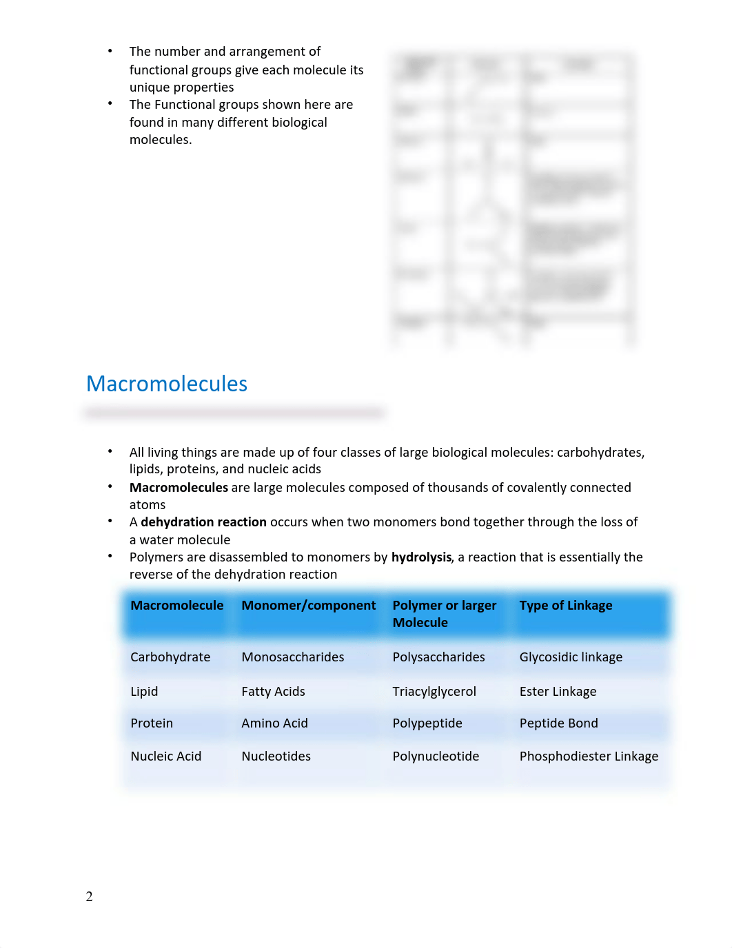 Study Guide Macromolecules (1).pdf_dw8nexmvxcv_page2