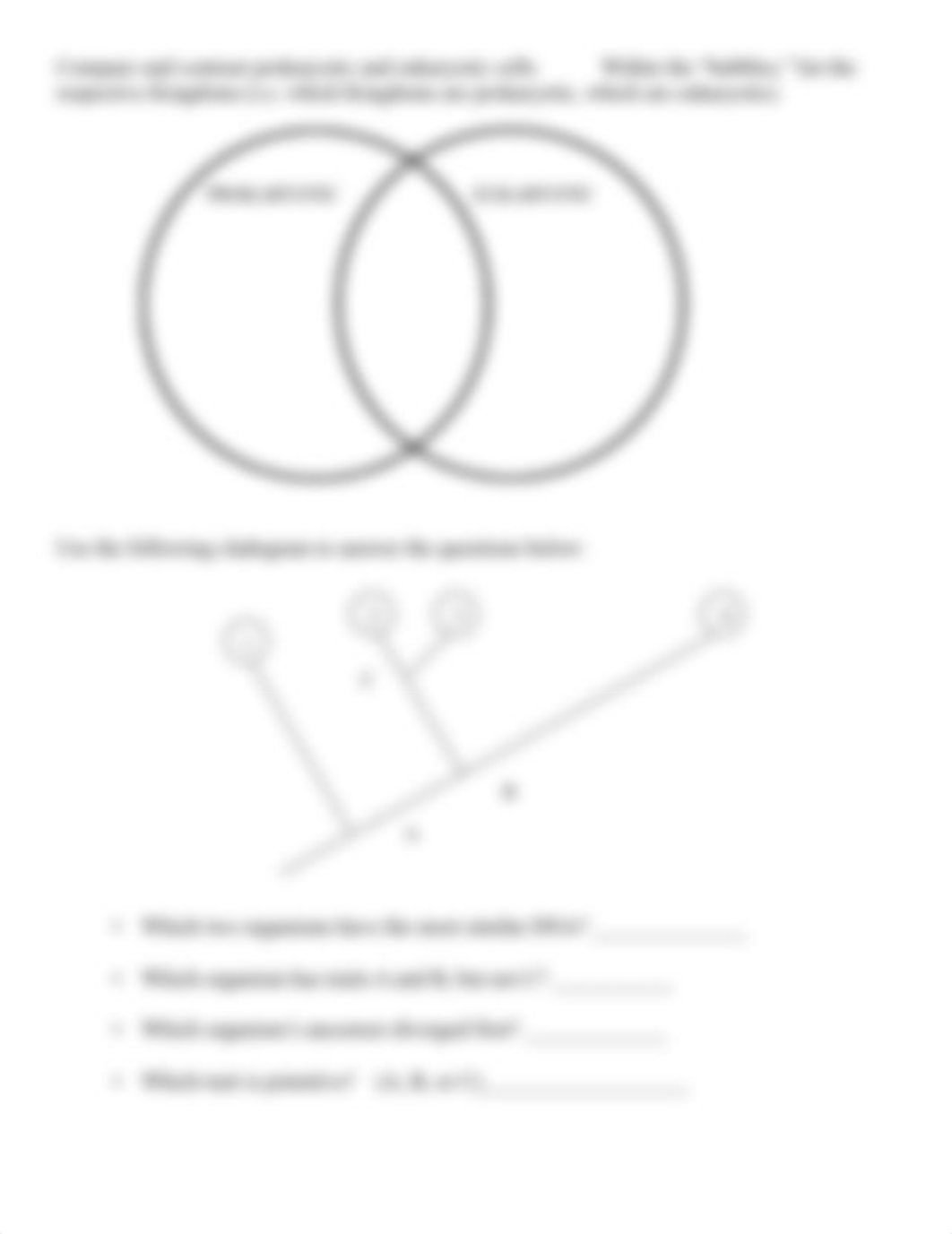 Classification Guided Notes.pdf_dw8o6tedjql_page3