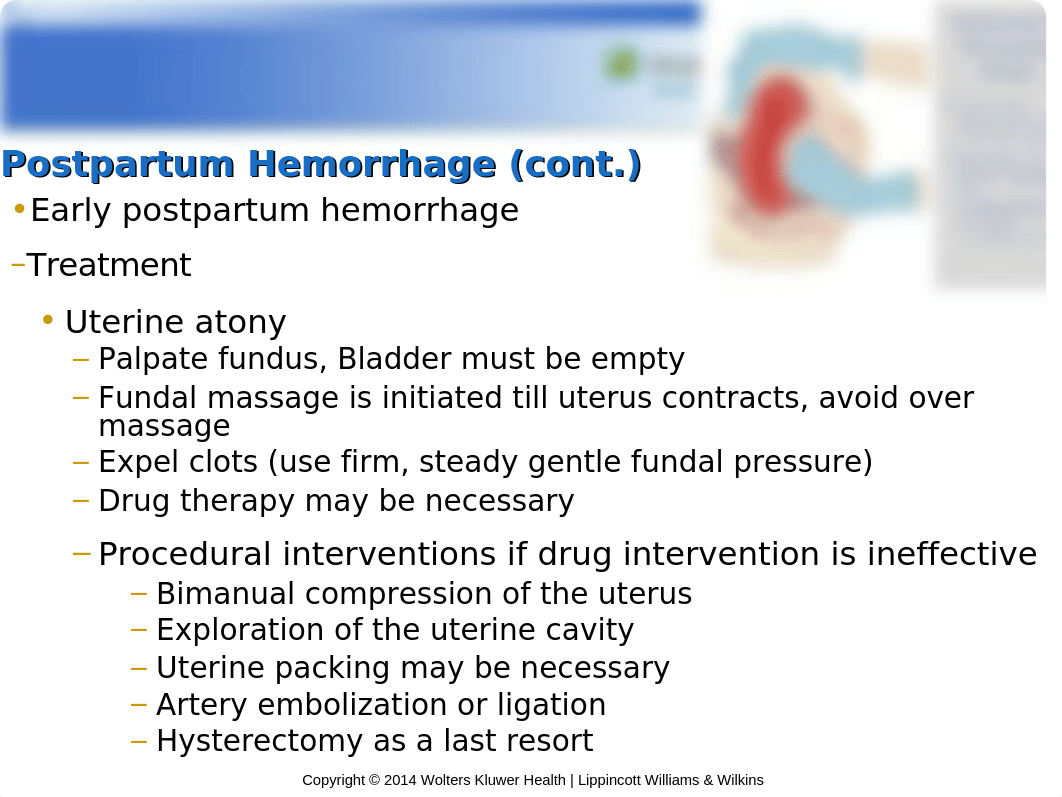 NUR 104 Chapter 19 Hatfield abbreviated.ppt_dw93cyddy4d_page5