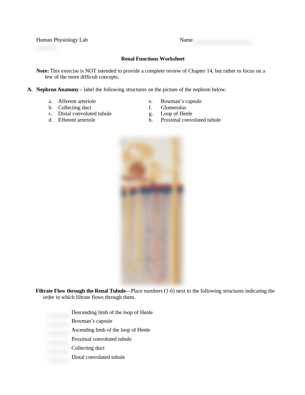 Phys lab ws.doc_dw9ehrlzfnn_page1