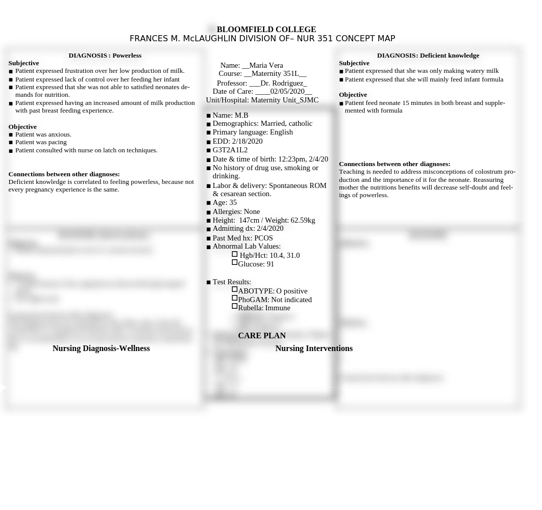 NUR 351 Nursing Care Plan- Maternity.docx_dw9pw13f6f4_page1