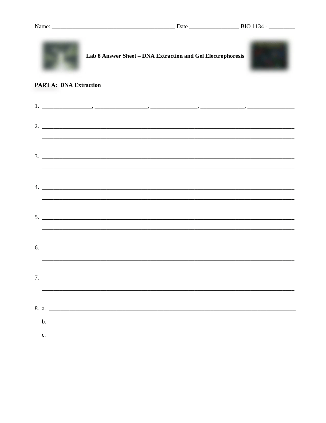 Lab 8 Answer Sheet, DNA Extraction & Gel Electrophoresis (1).docx_dw9rugmvnzb_page1