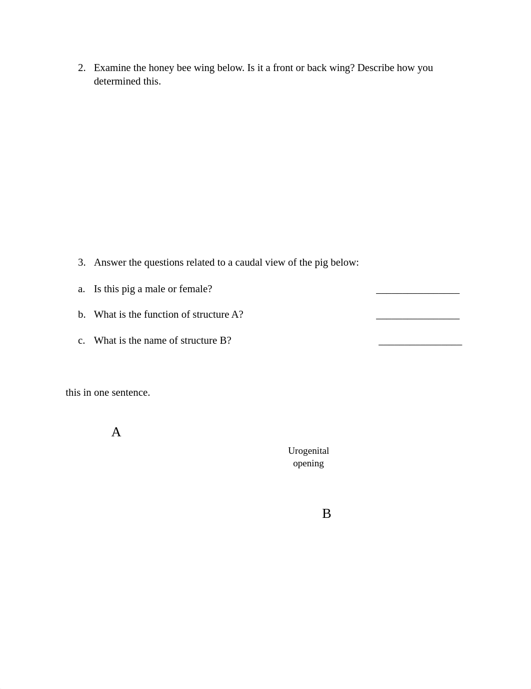 sample midterm questions 2019.pdf_dw9sx6jxxn4_page3