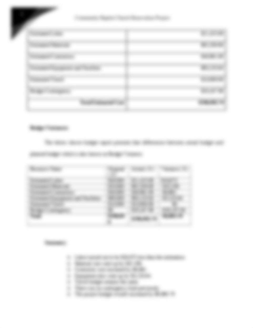 Project Schedule and Budget.docx_dw9tb7p6s2e_page3