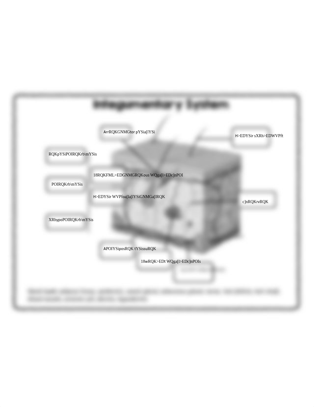 Copy of Digital Skin & Nail Diagrams.pdf_dw9x9sc0wna_page1