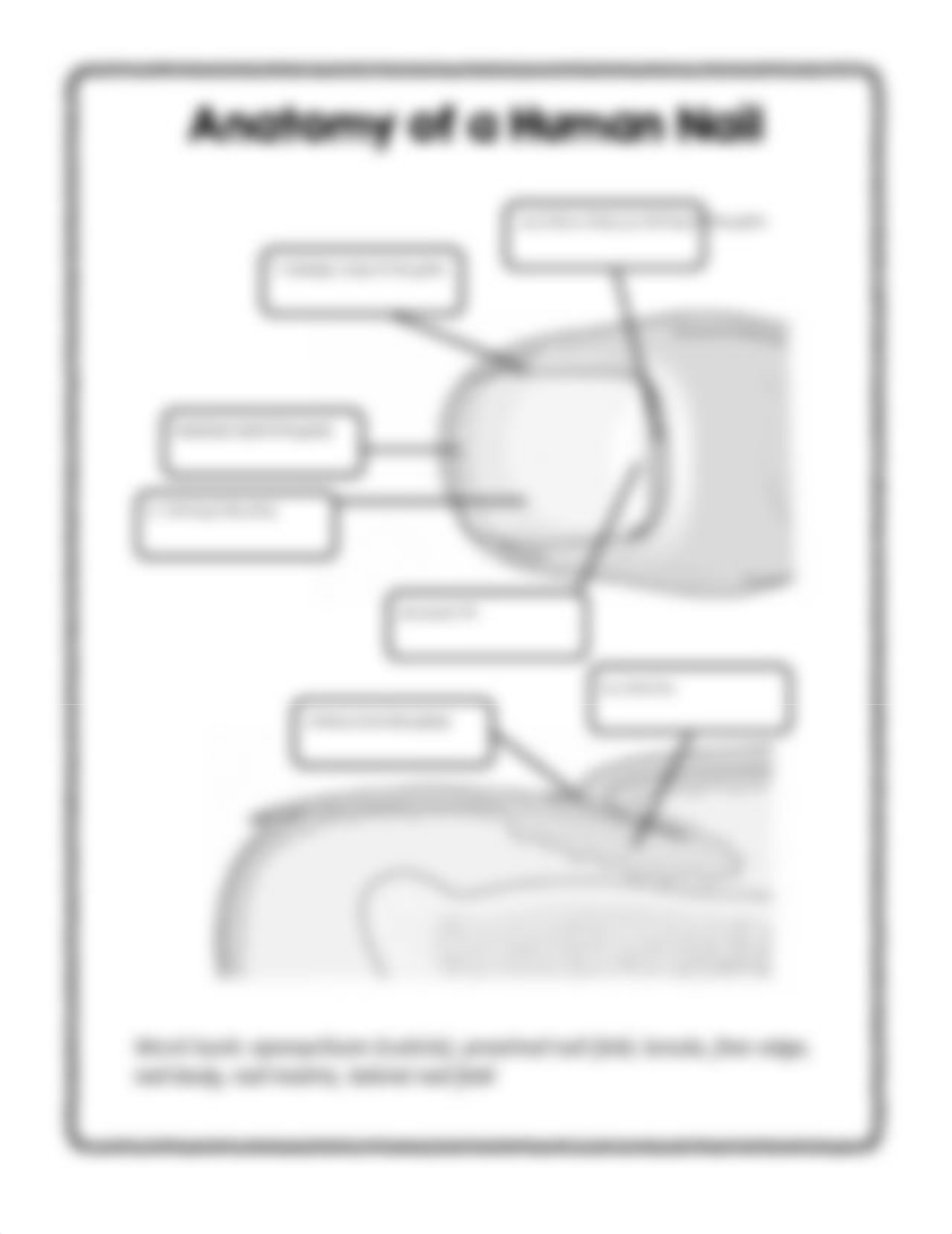 Copy of Digital Skin & Nail Diagrams.pdf_dw9x9sc0wna_page2