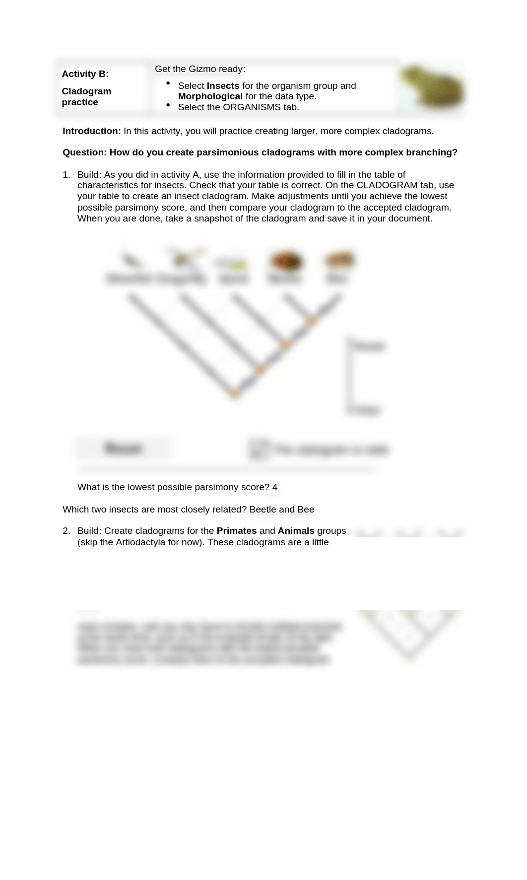 Cladogram Activity B.docx_dwa3wejh1xt_page1