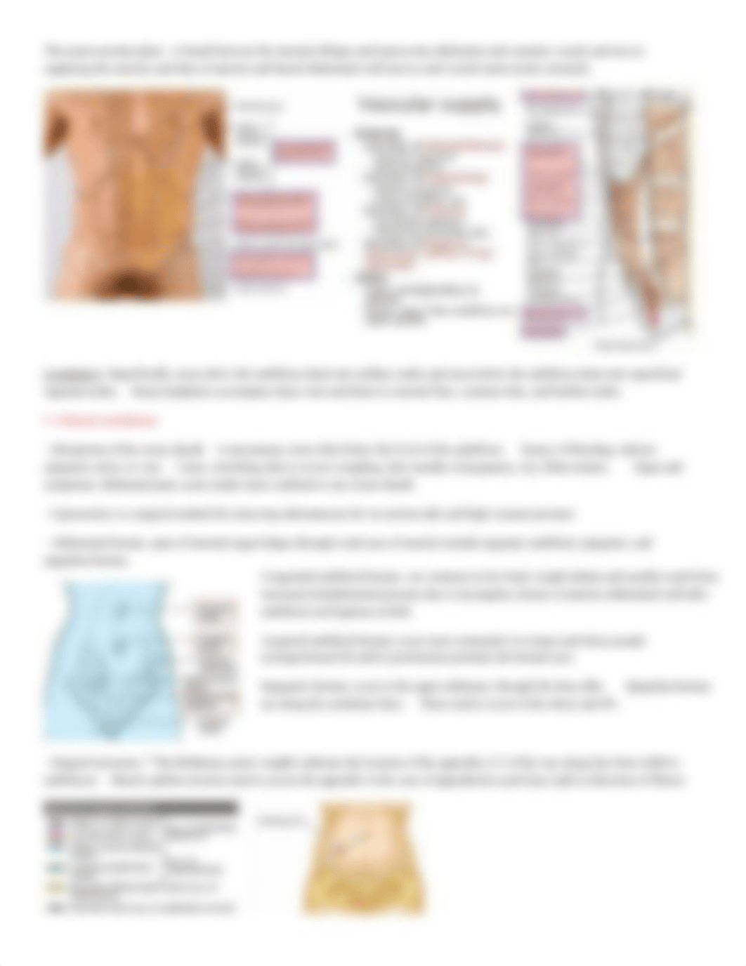 Anterior Abdominal Wall and Peritoneum.pdf_dwa6cwjlnwj_page3