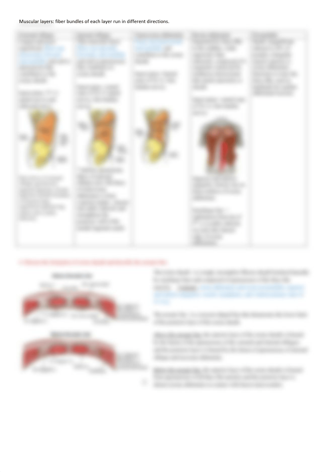 Anterior Abdominal Wall and Peritoneum.pdf_dwa6cwjlnwj_page2