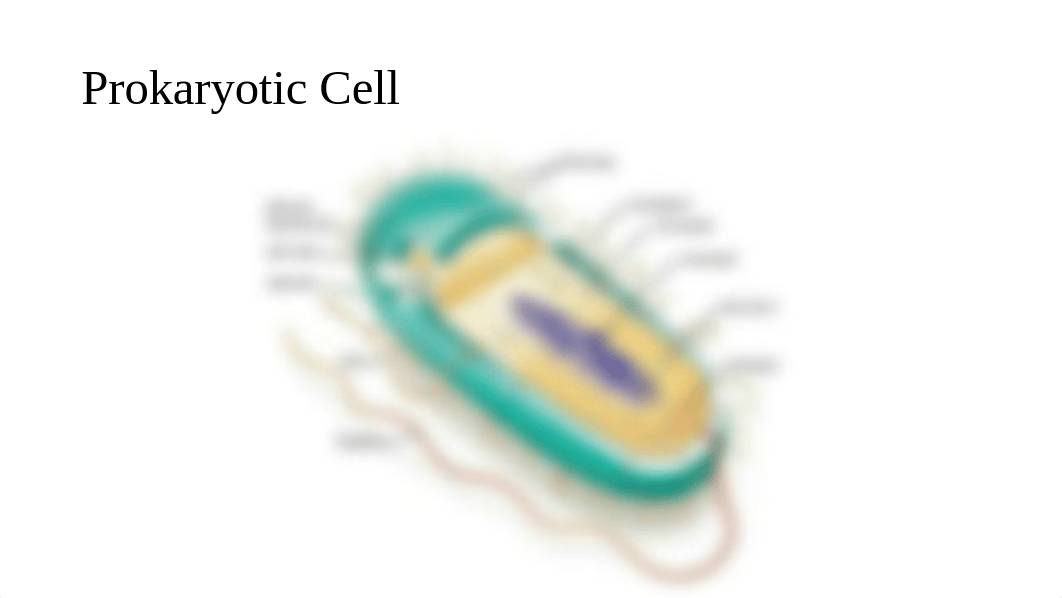 Chapter 3 The Cell.pptx_dwa953eon8g_page5