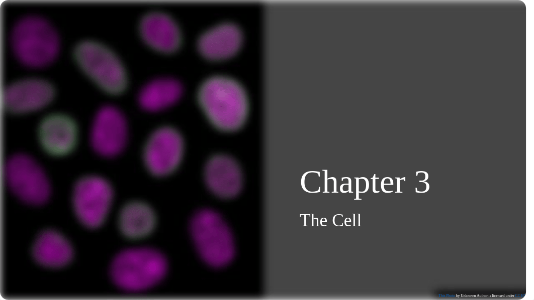 Chapter 3 The Cell.pptx_dwa953eon8g_page1