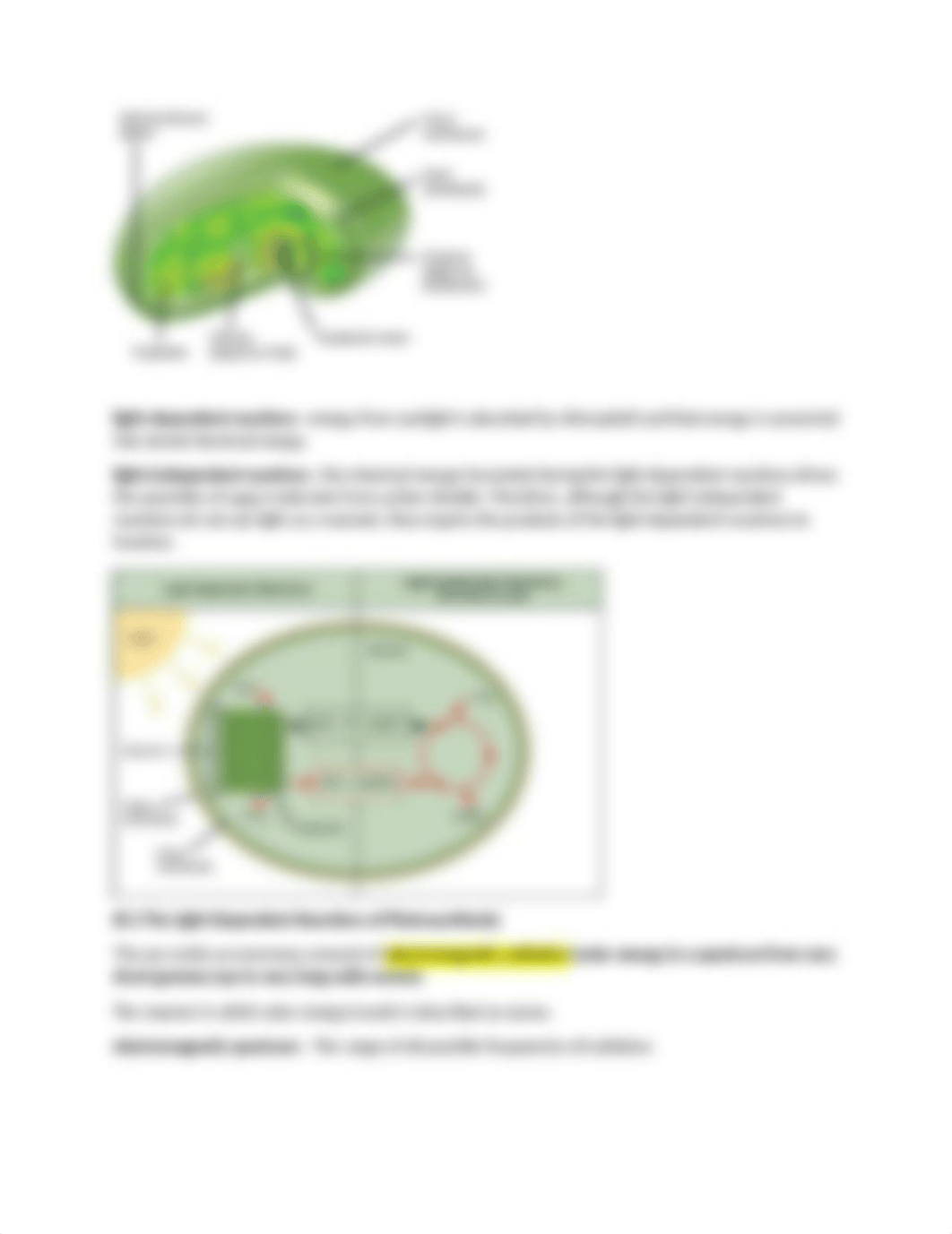 Bio module 11.docx_dwab7nplxyc_page3