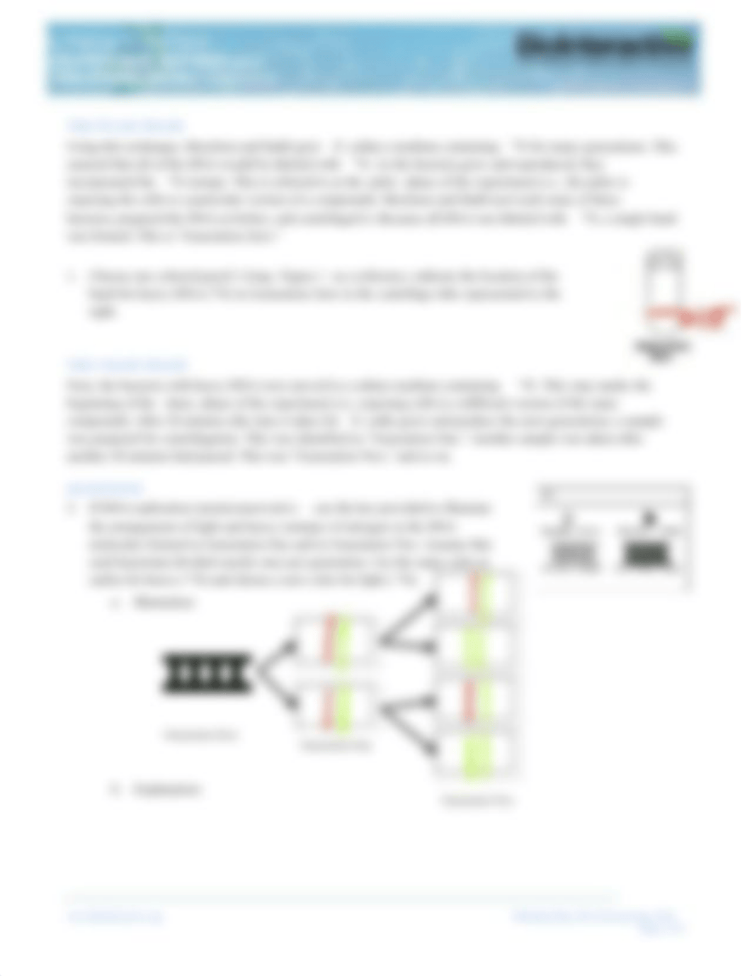 DoubleHelix-Pulse-Chase-Primer-Student.pdf_dwaln346qo3_page2