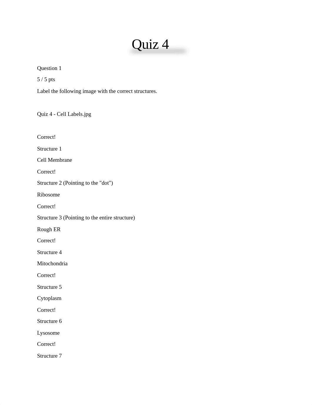 Quiz 4.docx_dwanjw0i7yw_page1