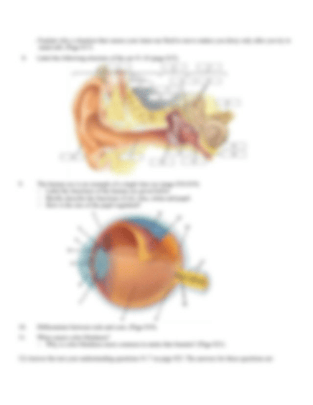 Study Guide Questions_chapter 38_Bio 102_2021.docx_dwaol3x7paw_page2