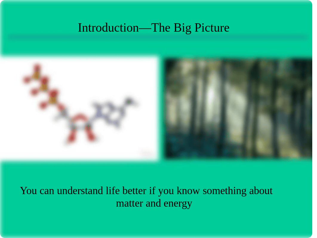 Biol 101 introduction-1.ppt_dwapv59r0jd_page3