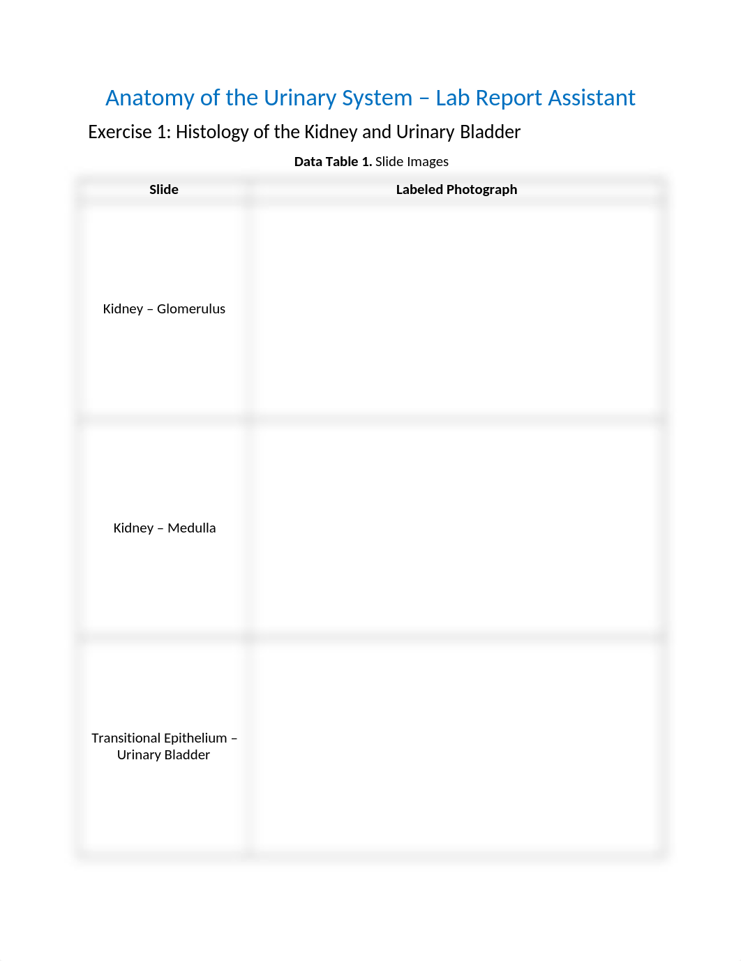 52 - Lab 9 Anatomy_of_the_Urinary_System_RPT (1).docx_dwausn0ji2w_page1