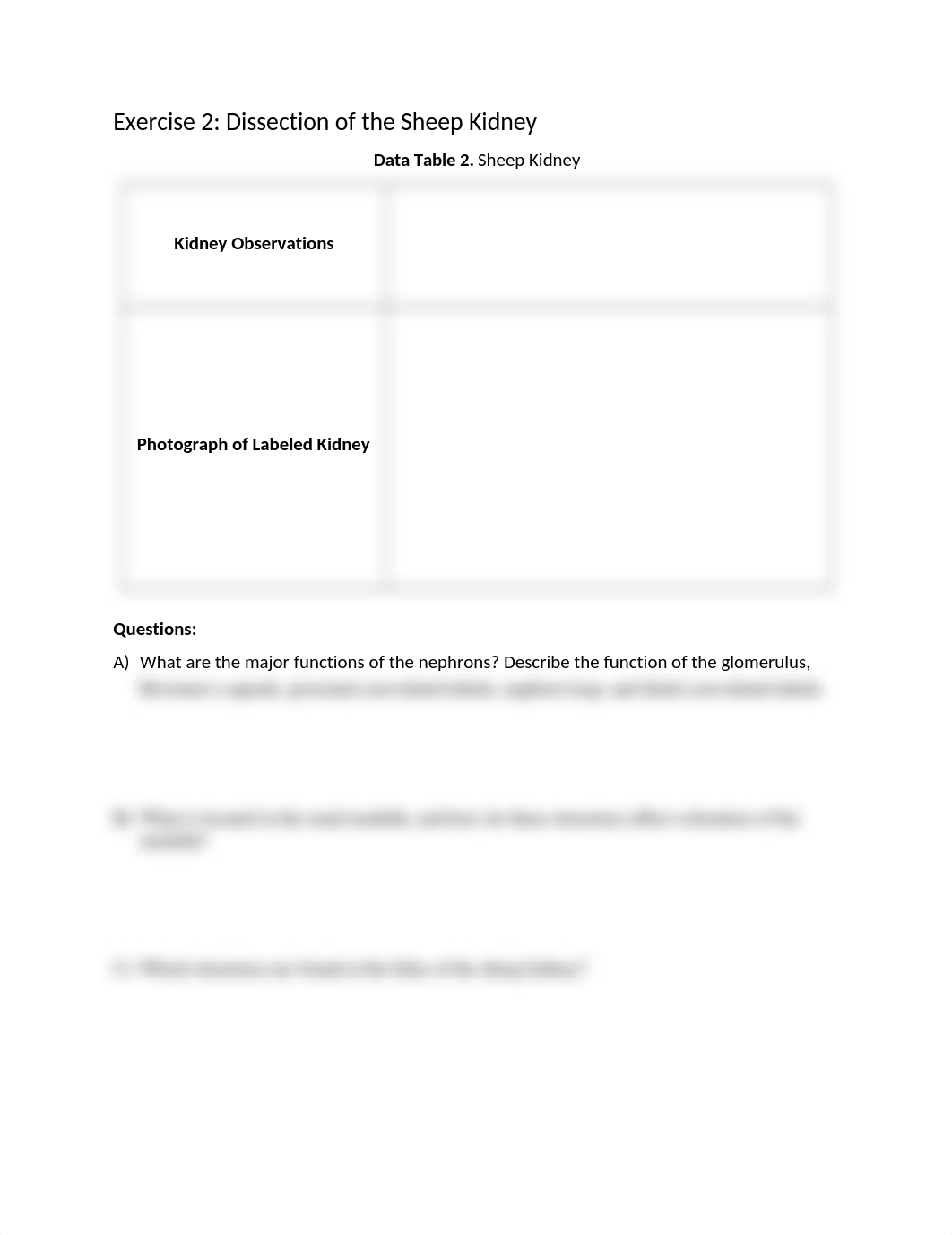 52 - Lab 9 Anatomy_of_the_Urinary_System_RPT (1).docx_dwausn0ji2w_page3