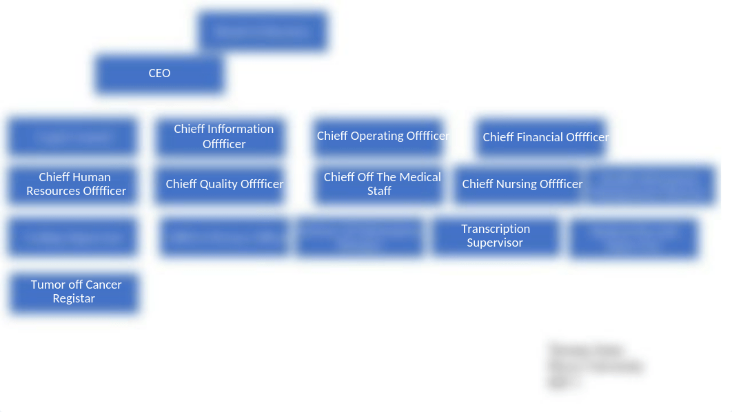 WEEK7 organizational chart.pptx_dwb08frpaz5_page1